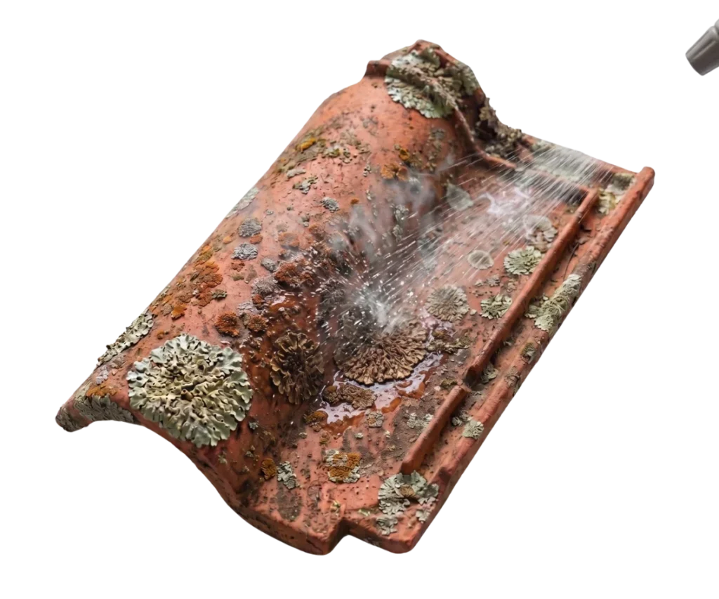Application d’un produit démoussant fongicide sur tuiles mécaniques pour traitement anti-lichens.