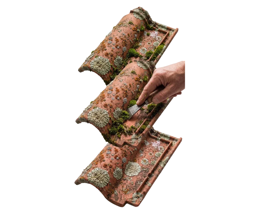 Étape préparatoire avant l'application d'un produit fongicide sur couverture.