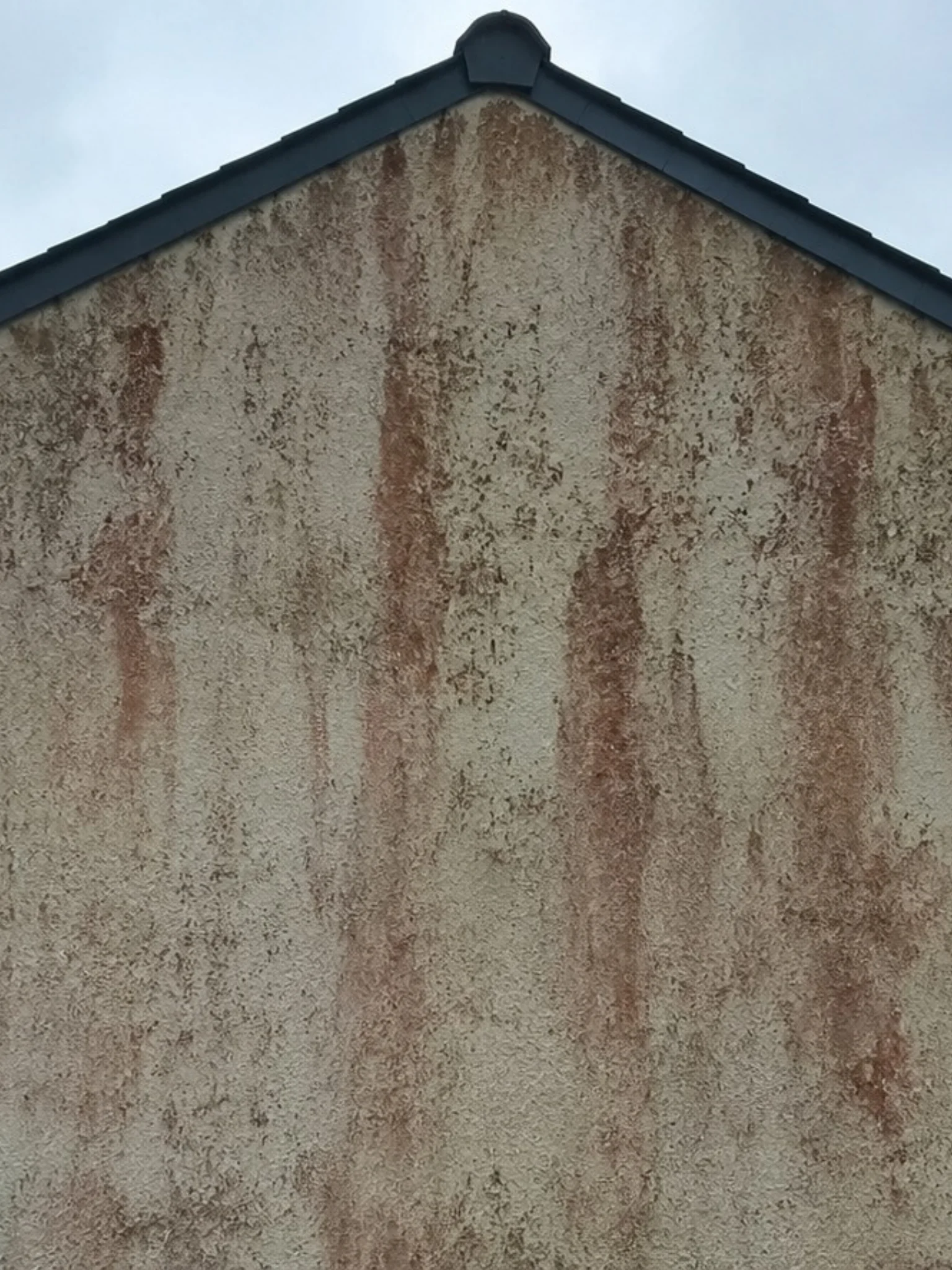 Façade de maison à Auriol touchée par des algues rouges Trentepohlia avant nettoyage.