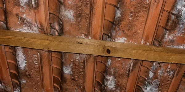 Humidité et moisissures sous les tuiles causées par une toiture en mauvais état à Vitrolles.