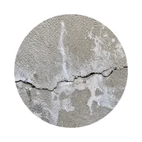 Illustration des problèmes d'humidité et de fissures sur une façade