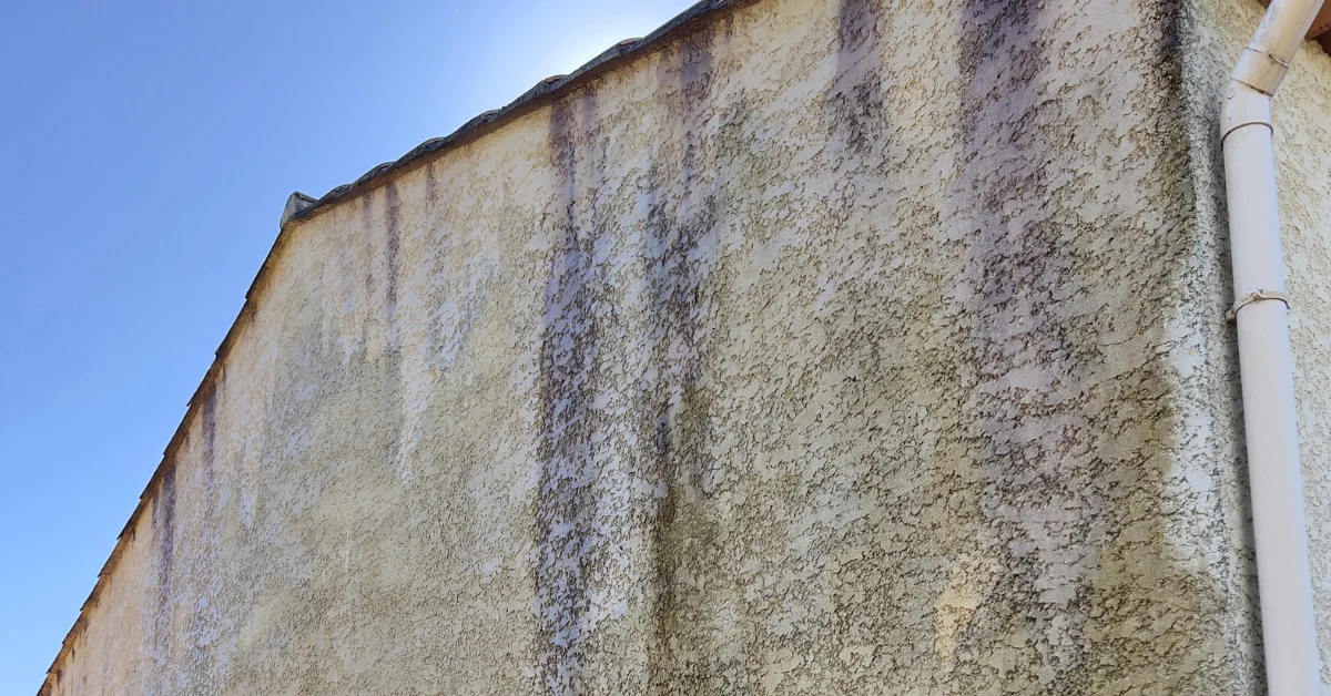 traces noires sur façade