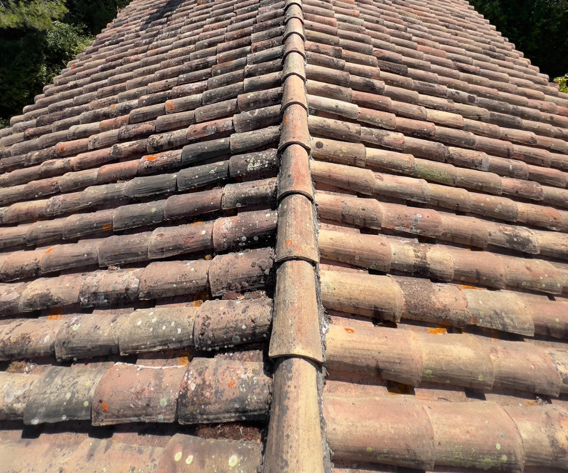 Toiture en tuiles recouverte de mousses et de lichens avant démoussage