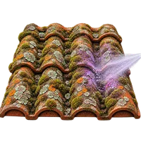 Démoussage de toiture