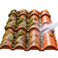 Nettoyage de toiture sans hydrofuge