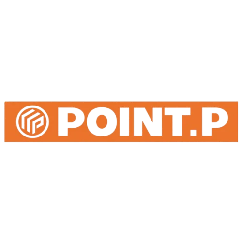 Point P