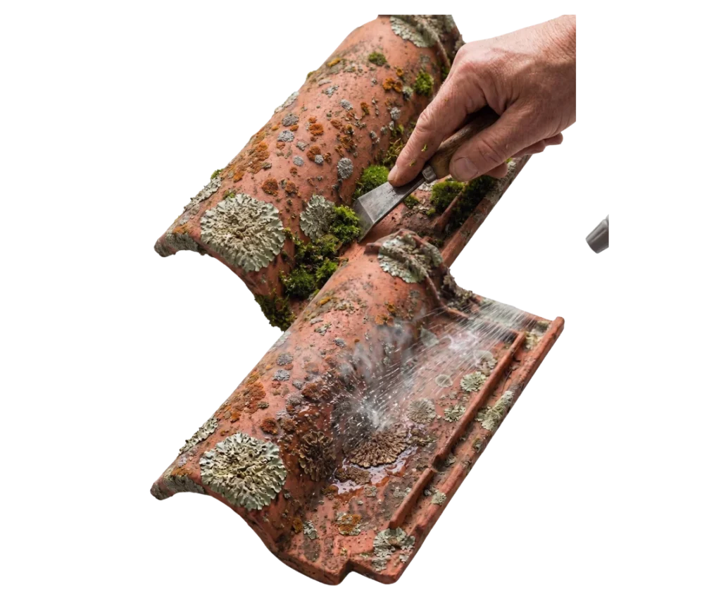 Étape préparatoire avant l'application d'un produit fongicide sur couverture.